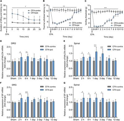 Elevated Expression and Activity of Sodium Leak Channel Contributes to Neuronal Sensitization of Inflammatory Pain in Rats